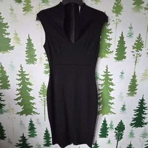 Black Glare Sleeveless Dress.